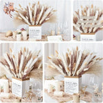bouquet fleurs séchées pampas naturel beige marron blanc décoration maison anniversaire mariage rustic