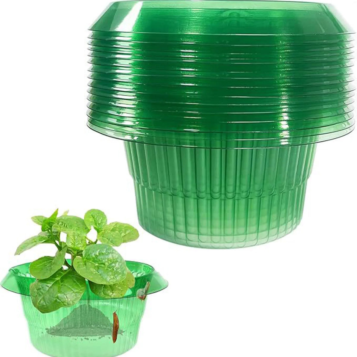 protège plantes cache pousses vert translucide protections limaces réutilisable simple pratique jardin 23cm 12cm