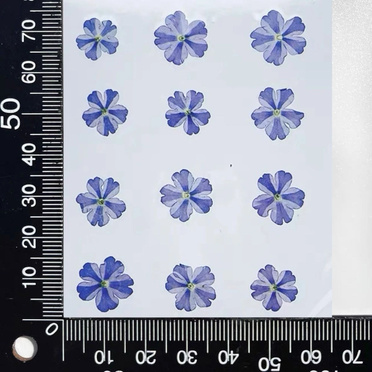 fleurs séchées violet rose blanc décor maison DIY craft nail art maquillage artisanales kit