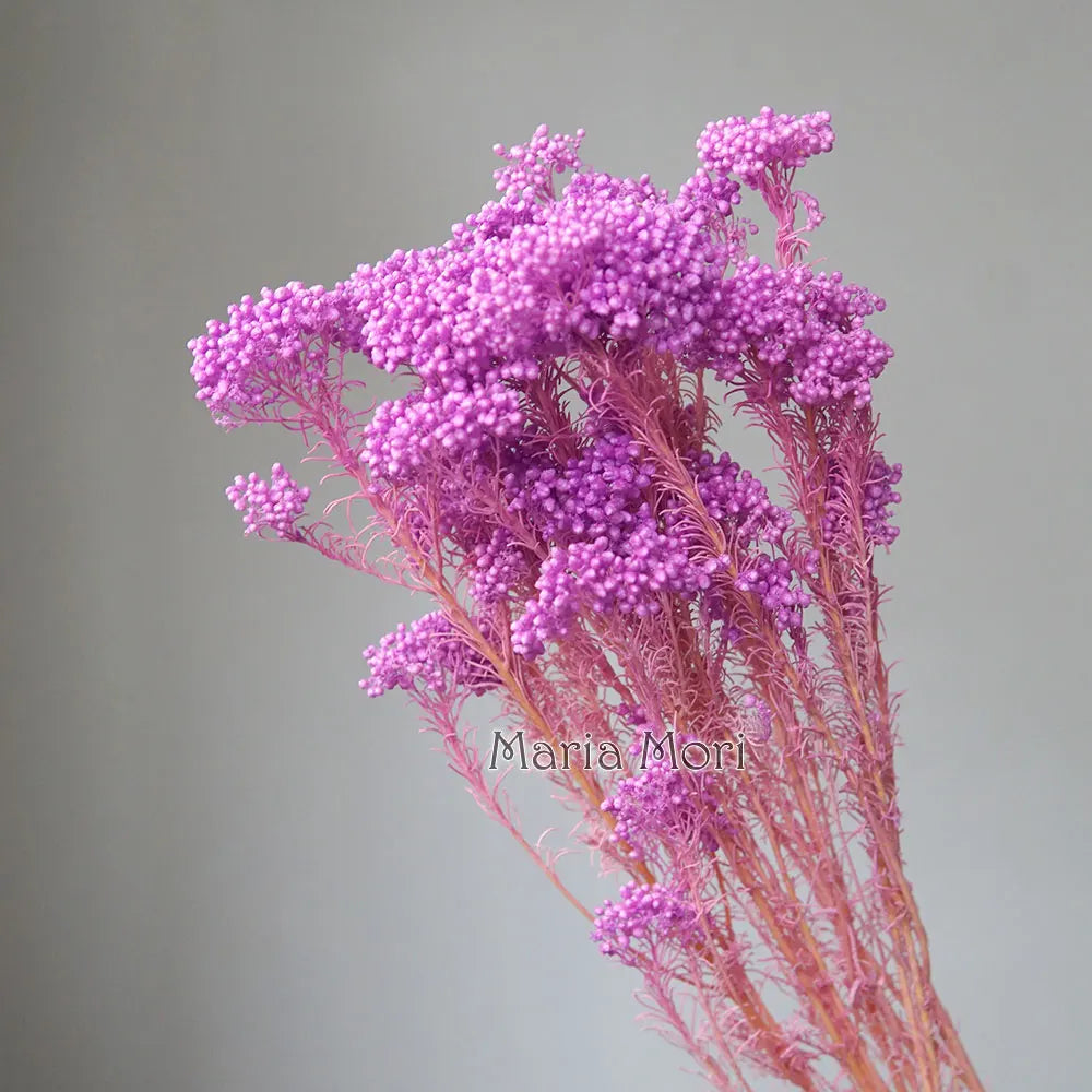 bouquet fleurs séchées naturelles rustique décoration maison mariage anniversaire petit volume décoratif