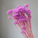 bouquet fleurs séchées naturelles rustique décoration maison mariage anniversaire petit volume décoratif