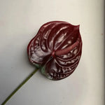 fleurs artificielles anthurium rouge vert rose blanches décoration moderne mariage intérieur decoration capitule plastique