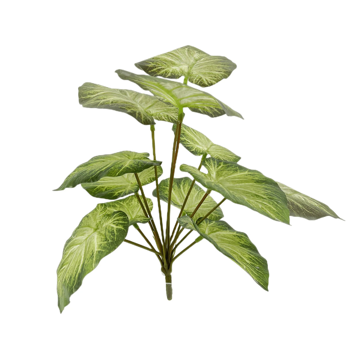 plante artificielle décorative feuilles vertes blanches rouges salon maison moderne naturel