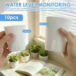 pots auto arrosants blancs modernes fente drainage coton fenêtre niveau eau