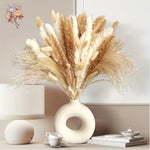 bouquet pampas séchés naturels beige marron blanc décoration boho intérieur événements festifs