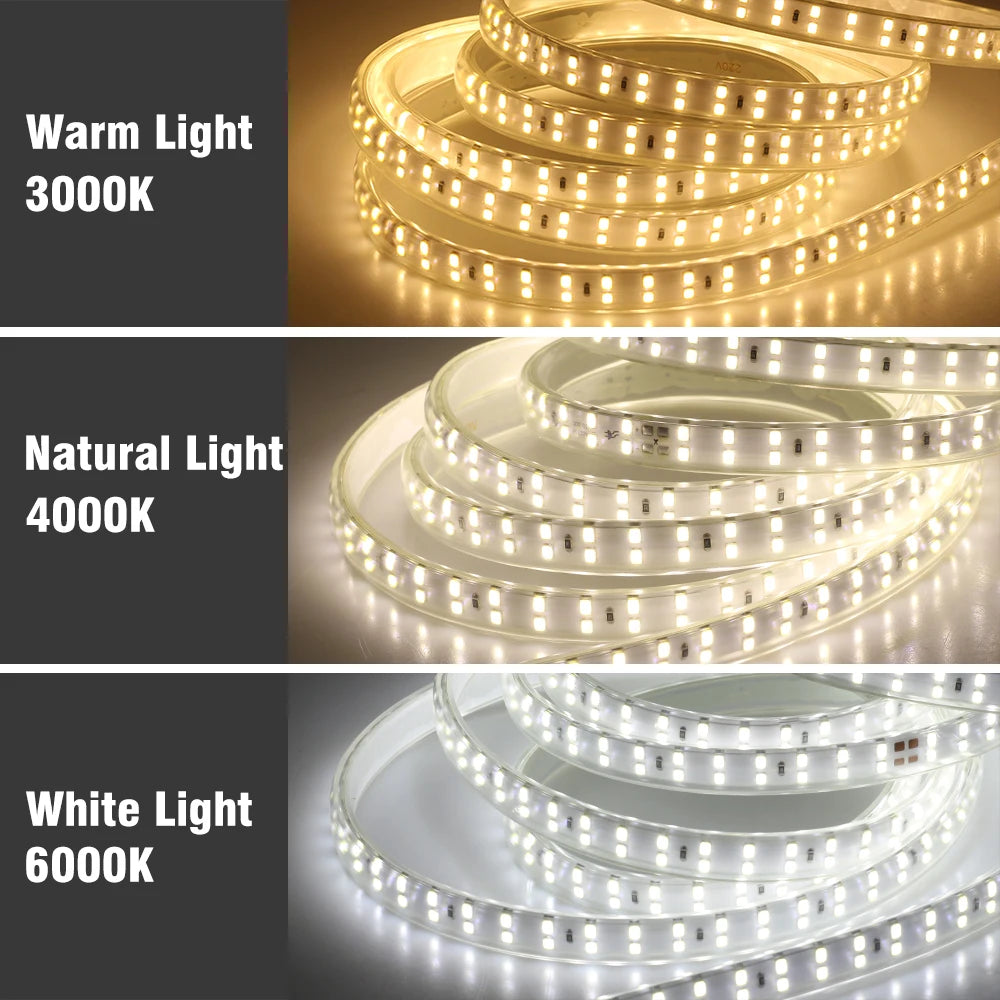 Détail des LED SMD2835 sur le ruban étanche
