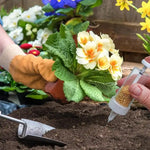 outil plantation graines transparent manuel jardin arbres fleurs pot fleur matériel jardinage