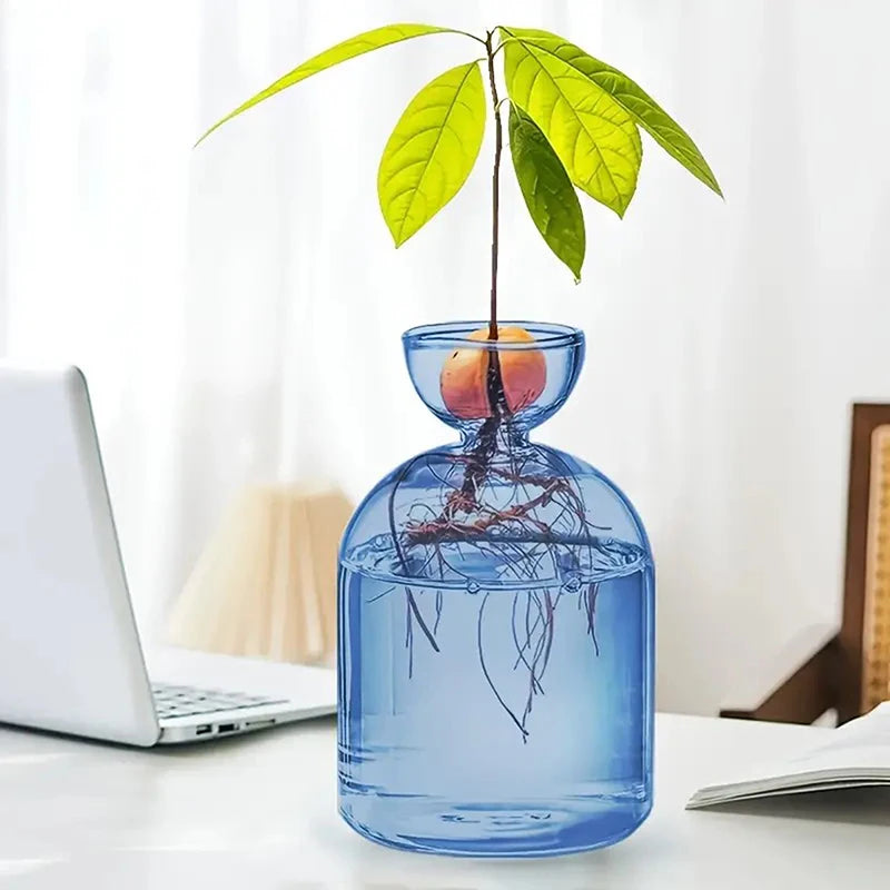 Pot plante moderne transparent coloré hauteur 15cm eau plante inclusion rose orange bleu vert