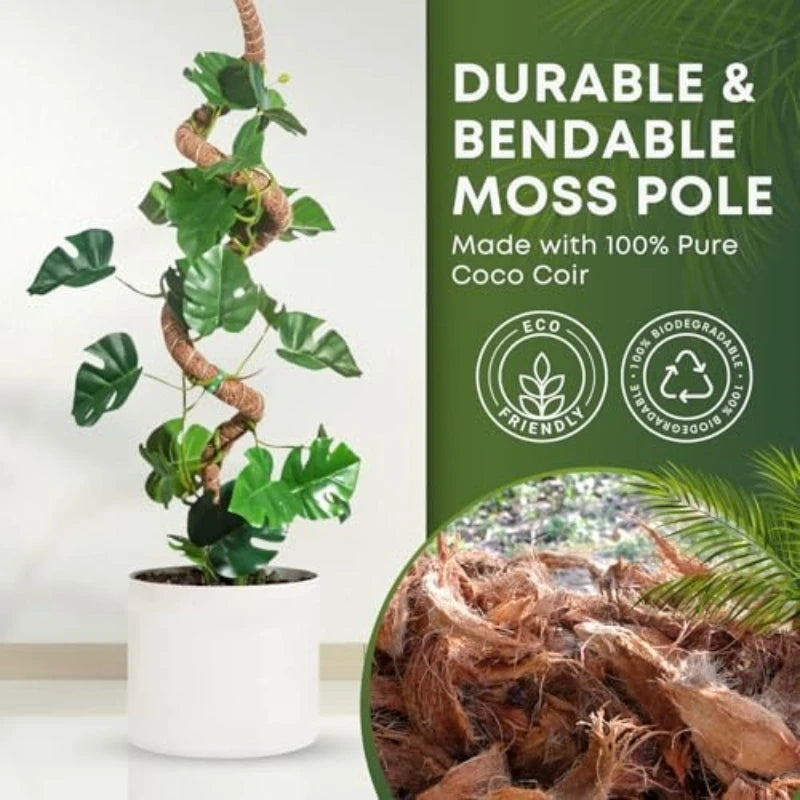 support plante grimpante fibre végétale marron clair naturelle rustique facile utiliser adhésif twine velcrointérieurextérieurbalconjardin