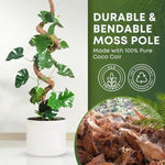 support plante grimpante fibre végétale marron clair naturelle rustique facile utiliser adhésif twine velcrointérieurextérieurbalconjardin