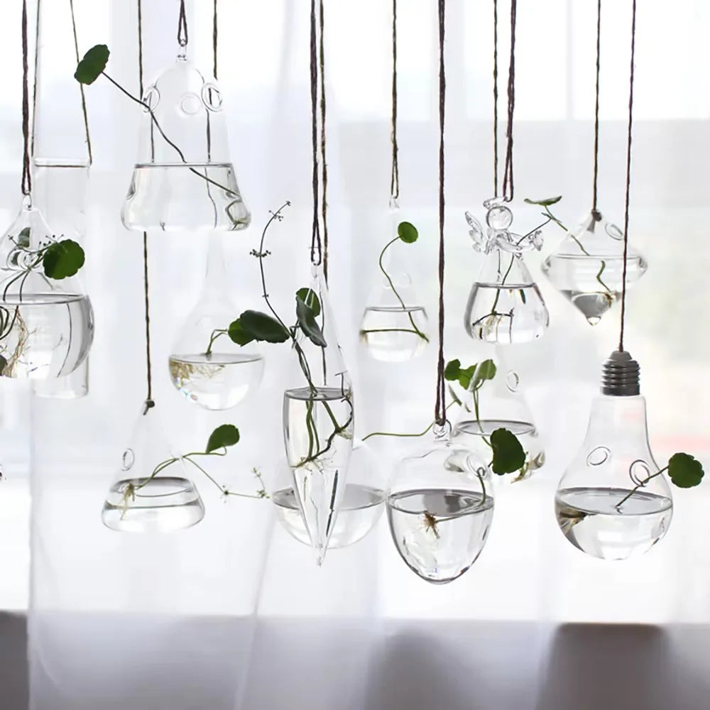 ampoules verre transparentes modernes opalescentes cordelette boutons fixation pot plantes minimaliste