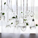 ampoules verre transparentes modernes opalescentes cordelette boutons fixation pot plantes minimaliste