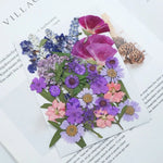 fleurs séchées multicolores variées naturelles scrapbooking décoration maison artisanat DIY