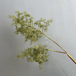 branche artificielle feuilles vertes ornement extérieur exposition naturelle orange blanc