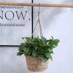 panier suspendu corde tressée naturel rustique décoration intérieur fleur plantation jardinerie support