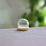 vase boule verre transparent base bois couvercle fleurs séchées