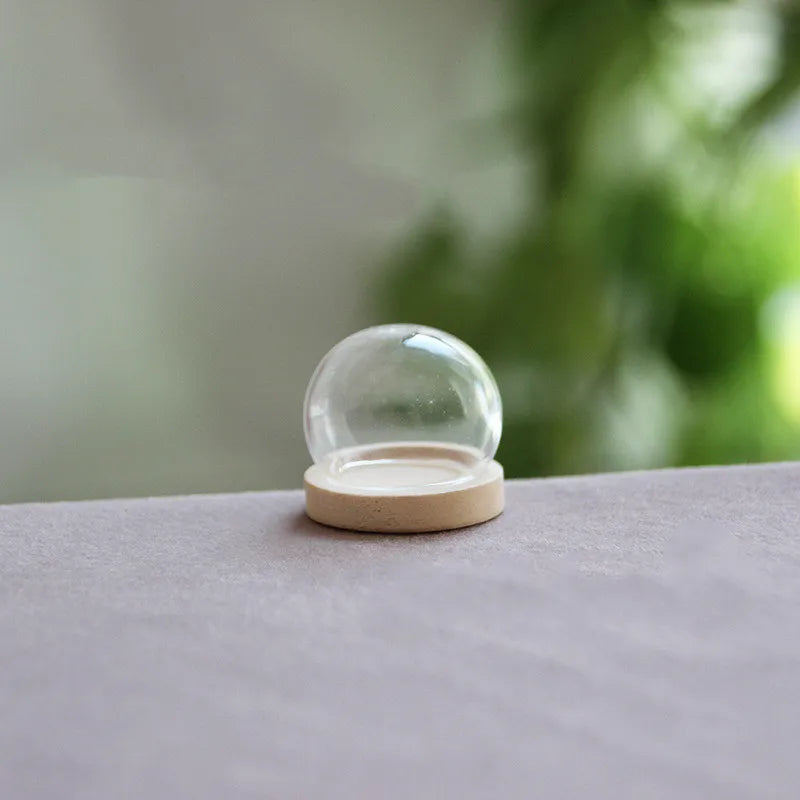 vase boule verre transparent base bois couvercle fleurs séchées
