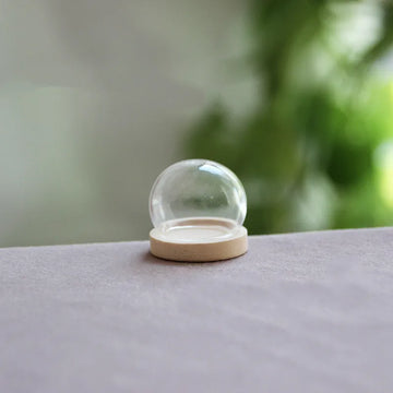 vase boule verre transparent base bois couvercle fleurs séchées