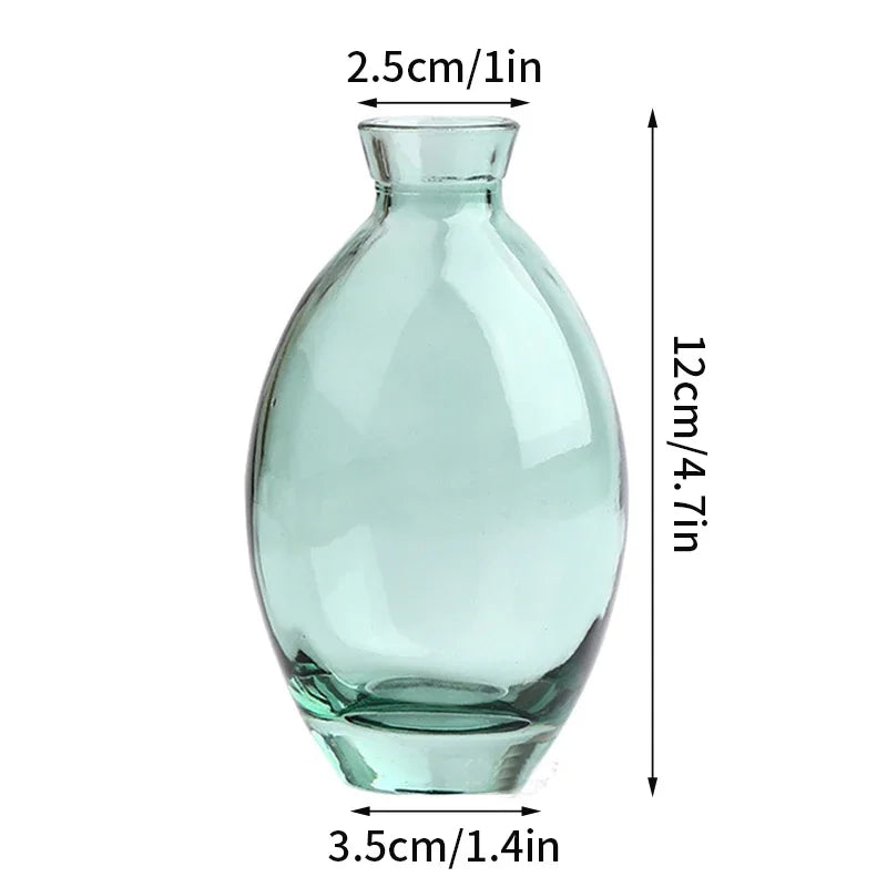 vase verre transparent moderne rose décoration intérieur hydroponique fleuri table studio