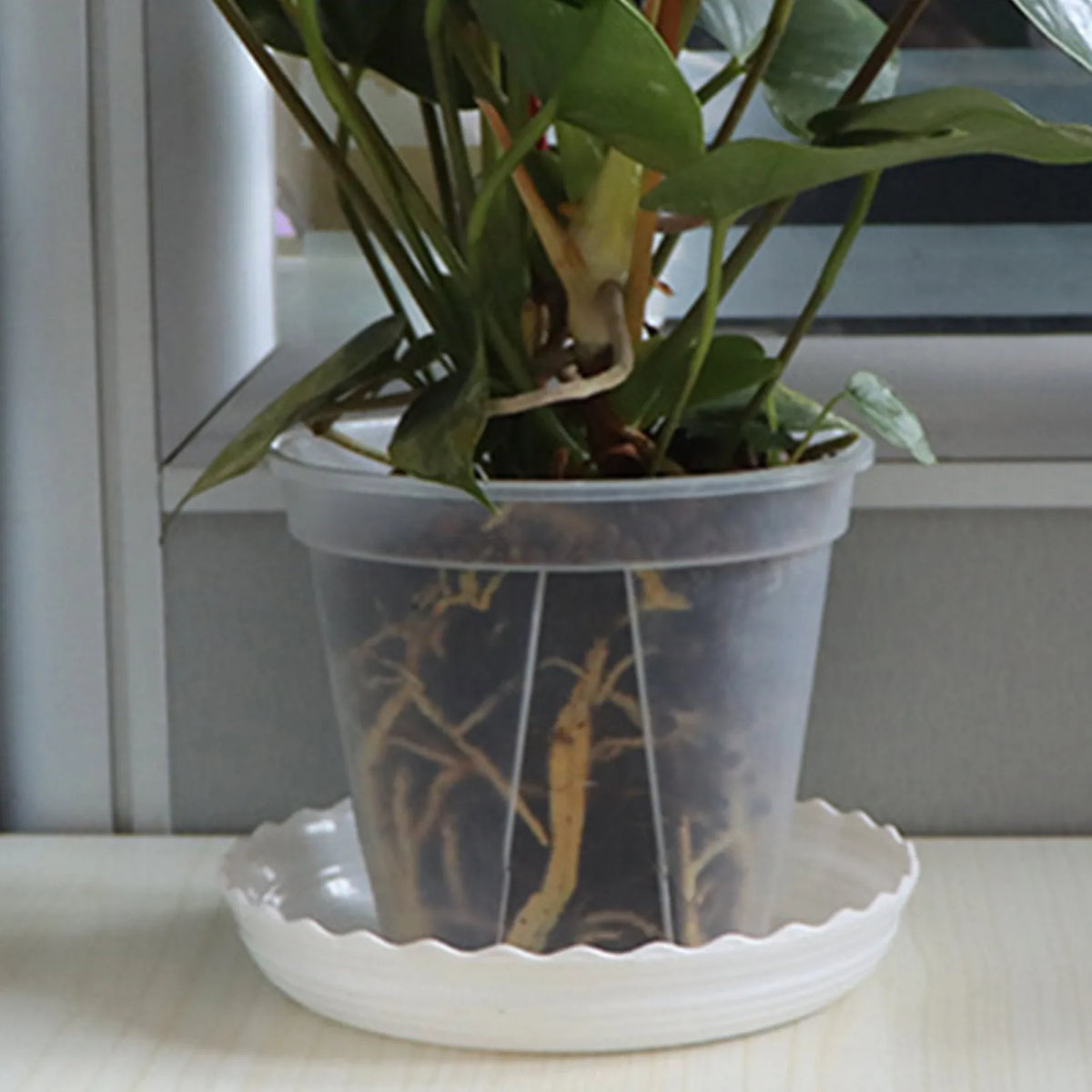 pots fleurs modernes transparents plastique grille tailles adhésif support fleur couvercle