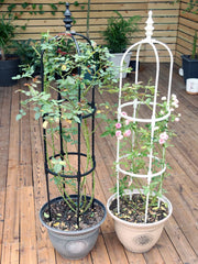 treillis métallique noir blanc pot fleur plante grimpante rose deco ornemental classiqueextérieurintérieurmodifiable