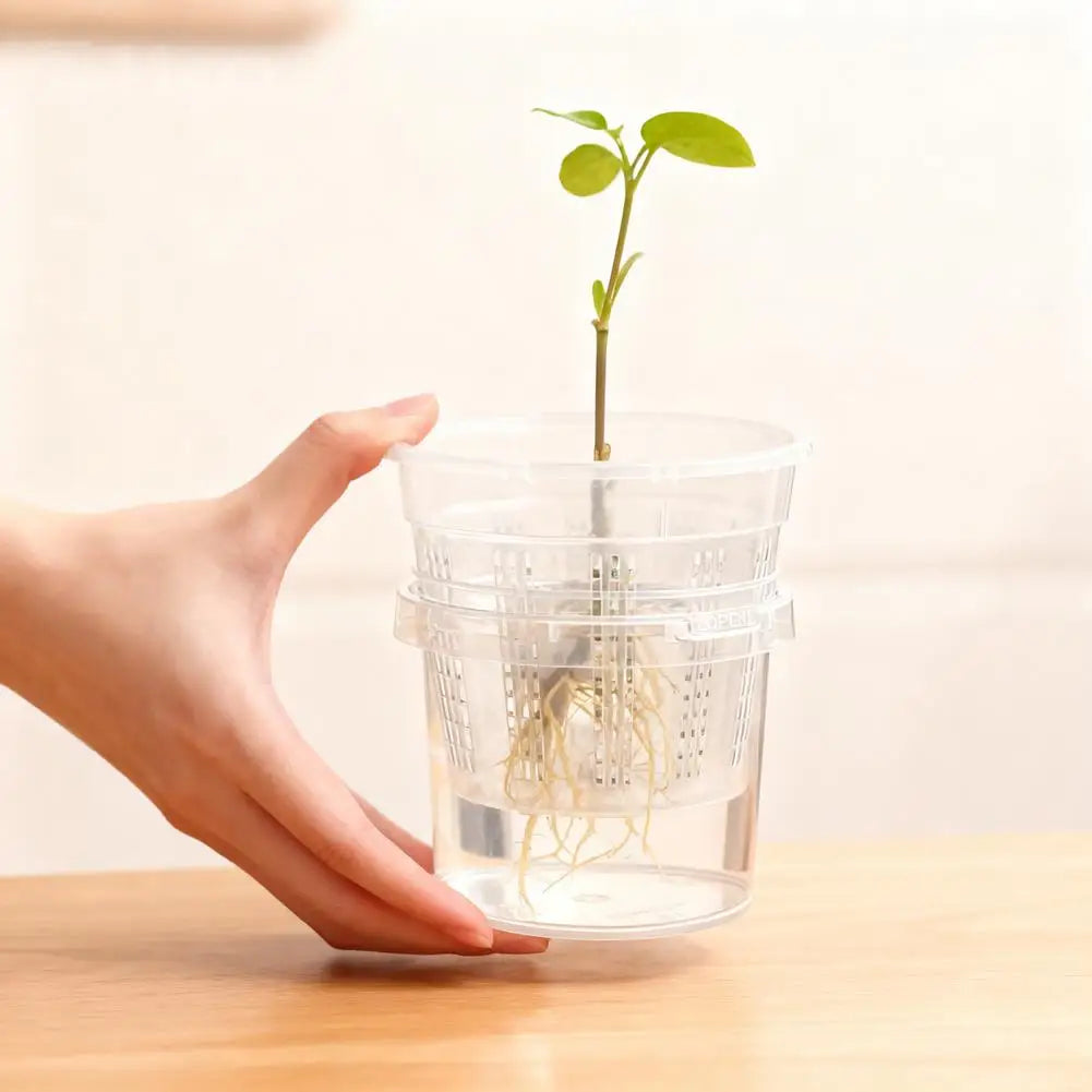 pot fleurs transparent absorption automatique eau grille perforations moderne plastiqueDecorationPlantes
