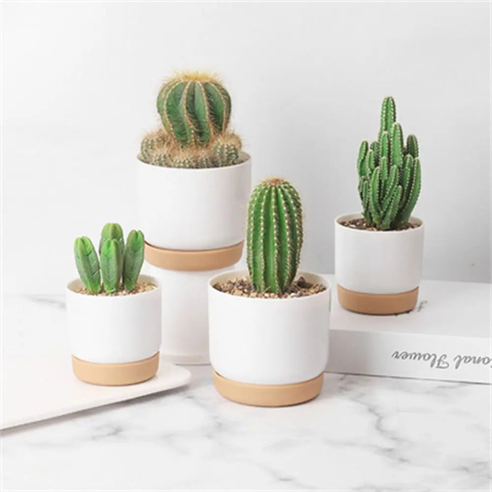 pots fleurs cactus auto arrosage drainage intérieur grands petits modernes adhésifs plastique vert pointus