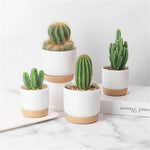 pots fleurs cactus auto arrosage drainage intérieur grands petits modernes adhésifs plastique vert pointus