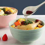 assiettes soupe modernes respectueuses l'environnement rose beige vert bleu opaques texture fine