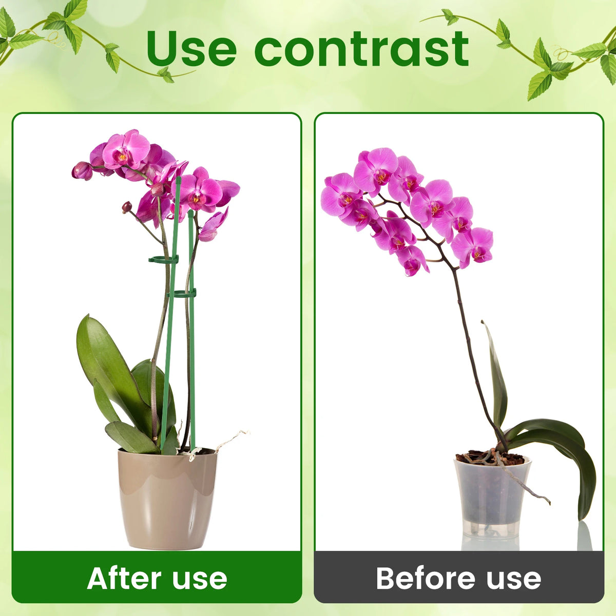 supports plantes vert ajustables moderne boucles élastiques connecteurs pliables protection fleurissance jardin intérieurextérieur