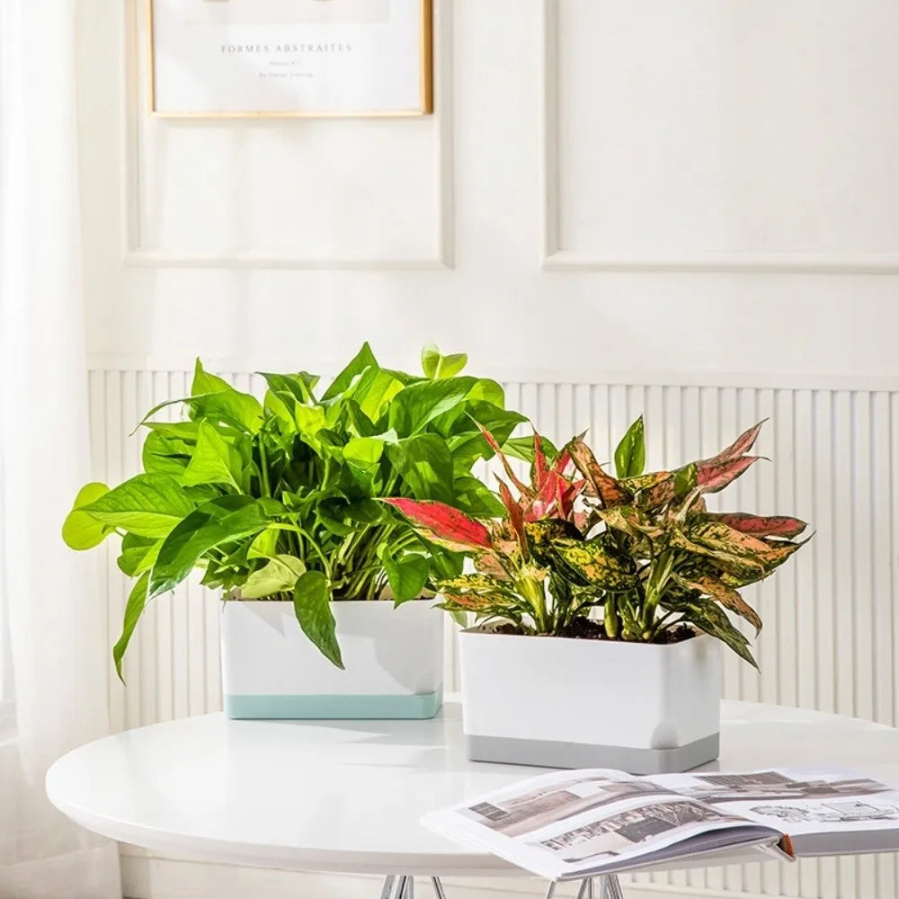 pots fleurs auto arrosants moderne blanc bleu carrés drainage plante verte balcon jardiniasières plastique