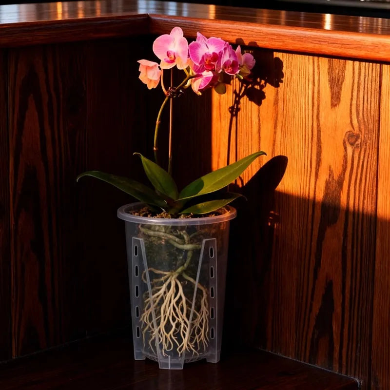 pot plante transparent perforations drainage amélioré moderne jardinerie orchidées plastique pp