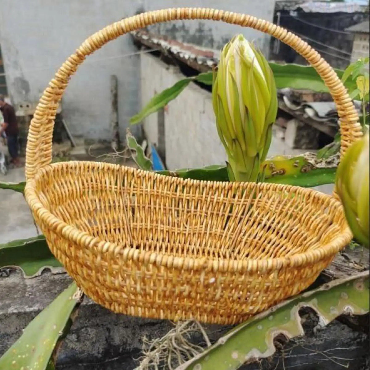 panier rangement tressé main imperméable utilisation multiple poissons fruits traditionnel picnique plage shopping randonnée