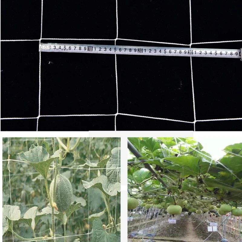 support plantes grimpantes filet jardin quadrillage blanc fleurs tomates concombres sacs transparents matériaux argentés