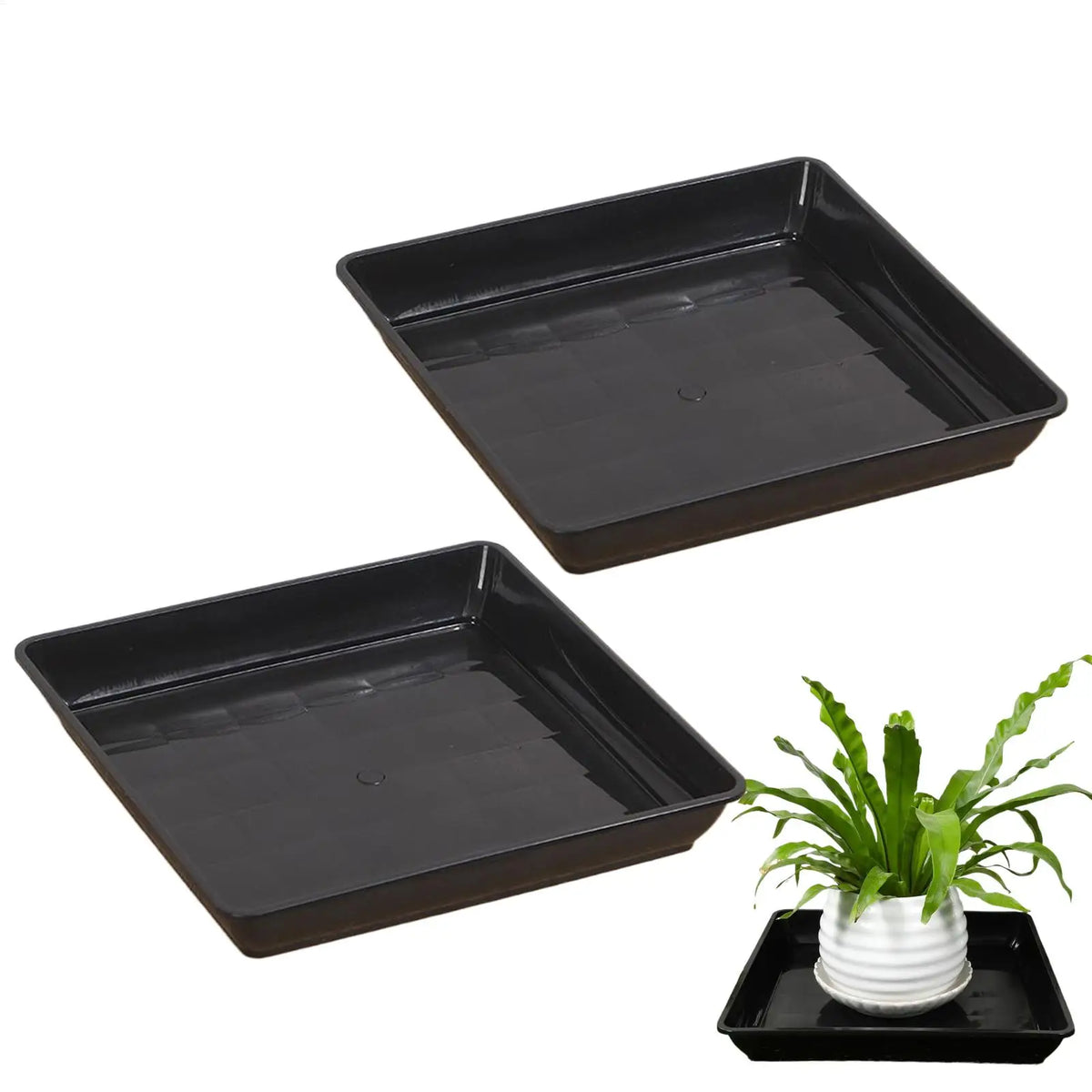 plateau carré noir moderne pots fleurs plantes intérieures usage présentoir décoration jardinage succulentes palmiers