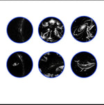 projecteur mural blanc abstrait cartouches projection moderne slides