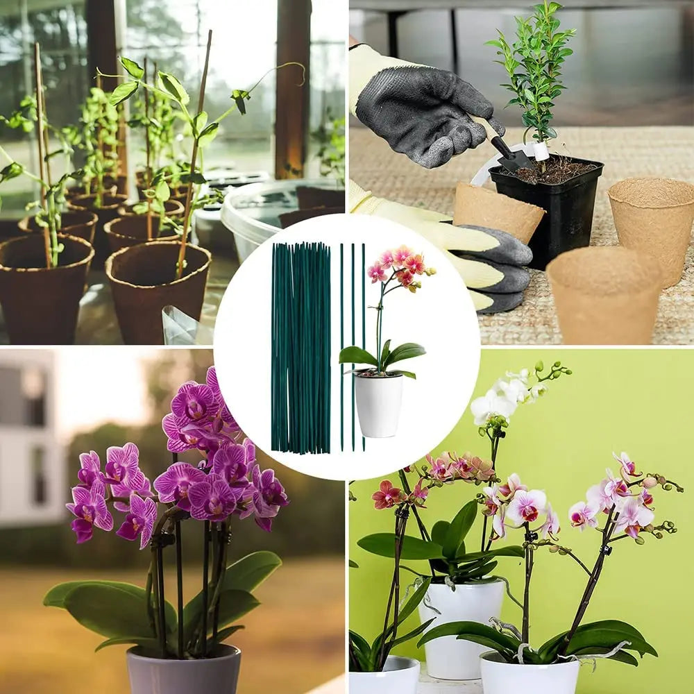 supports plante bambou vert lisse 40cm jardinage utilitaire insertion sol