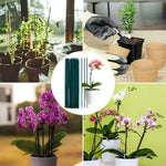 supports plante bambou vert lisse 40cm jardinage utilitaire insertion sol