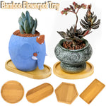 cache pots forme animaux couleur bleu vert beige créatif animalier plante succulente