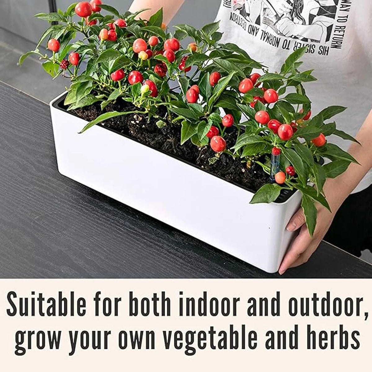 jardinière moderne arrosage intégré indicateur eau poignées aération racines amovible blanc noir