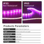 ruban led violet croissance plante moderne 5v 60 led 50000h usb
