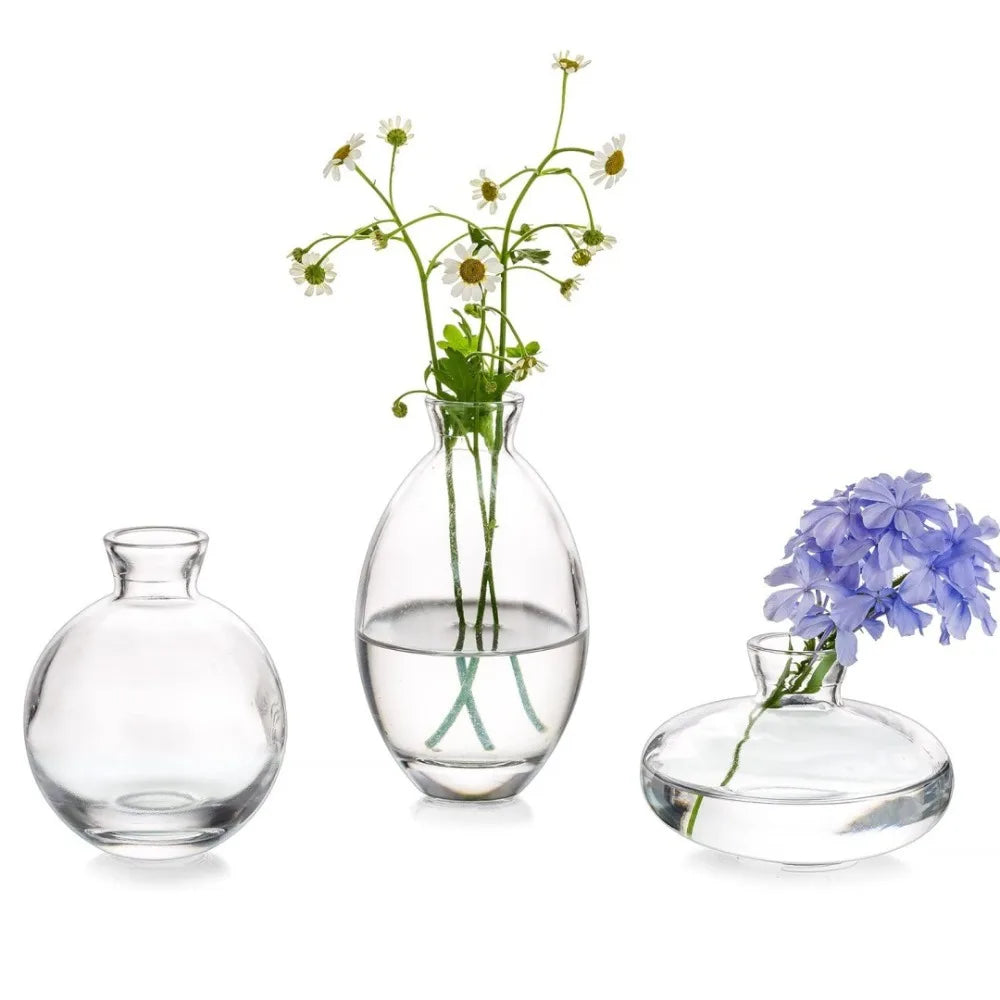 vases verre transparent modernes fleurs décoration intérieure maison minimaliste