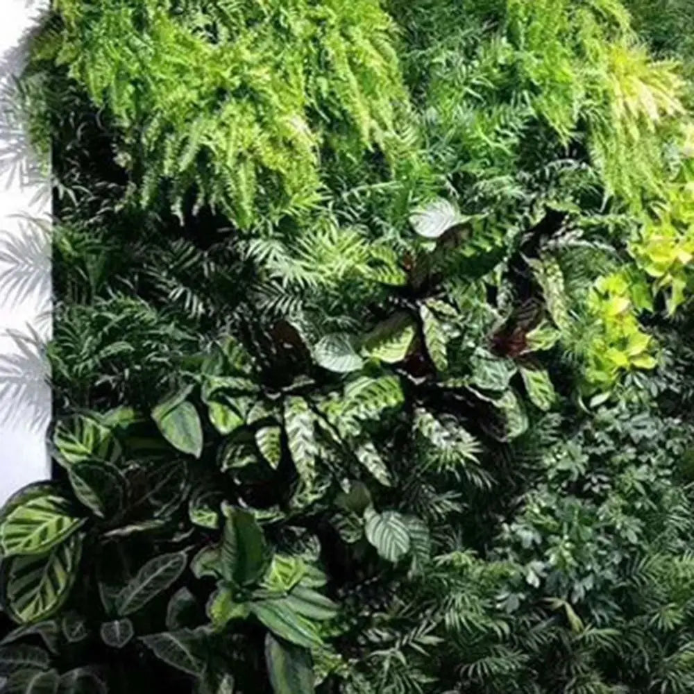 plantes artificielles murales feuilles vertes feuilles rouges clips naturel extérieur branche exposition