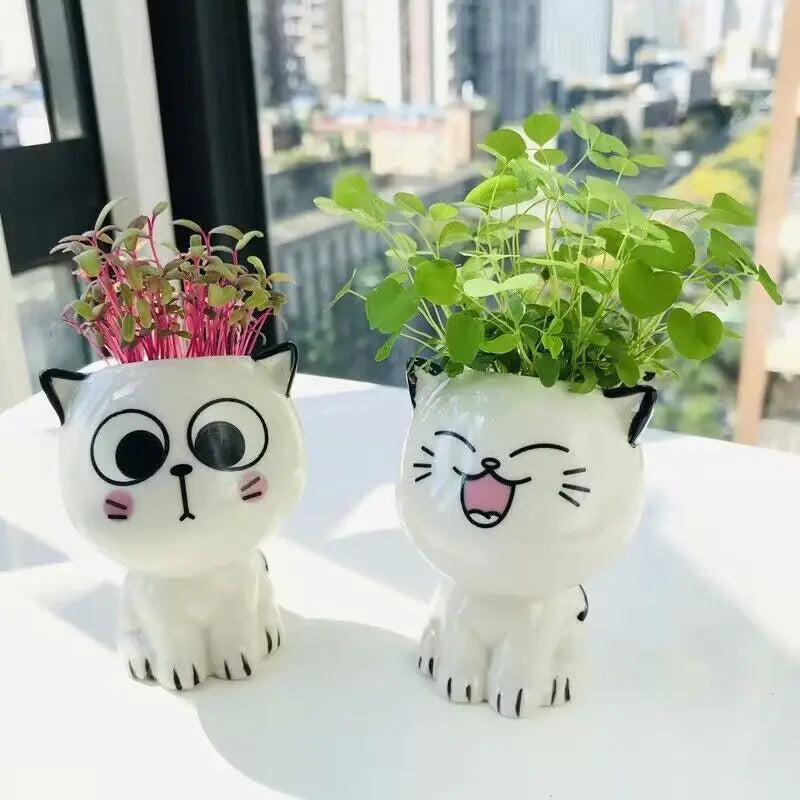 pot céramique cartoon chat blanc plante verte dessin animé sourire yeux opalescent decoration