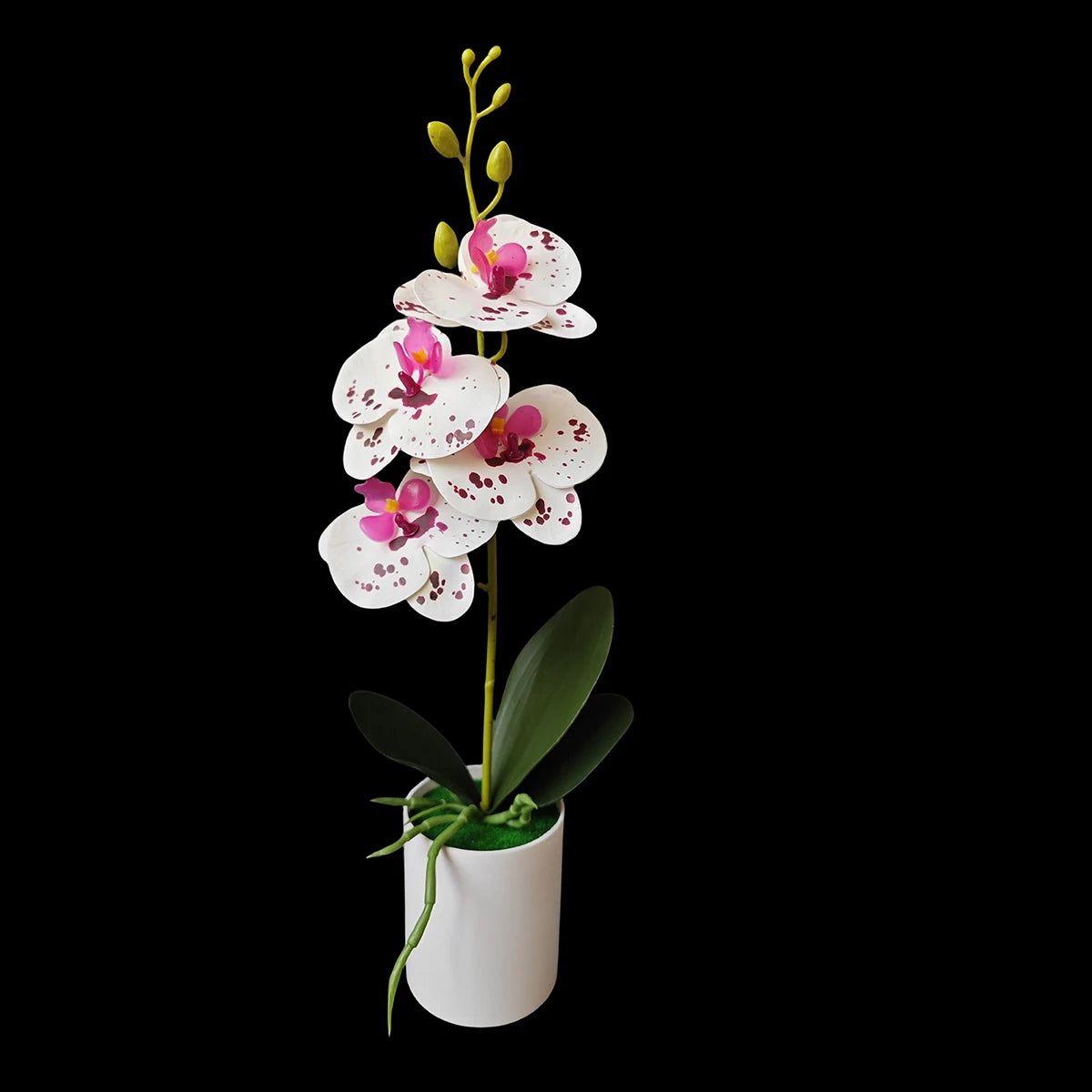 Décoration intérieure orchidées artificielles fleurs taches noires feuilles vertes pot blanc moderne chambre
