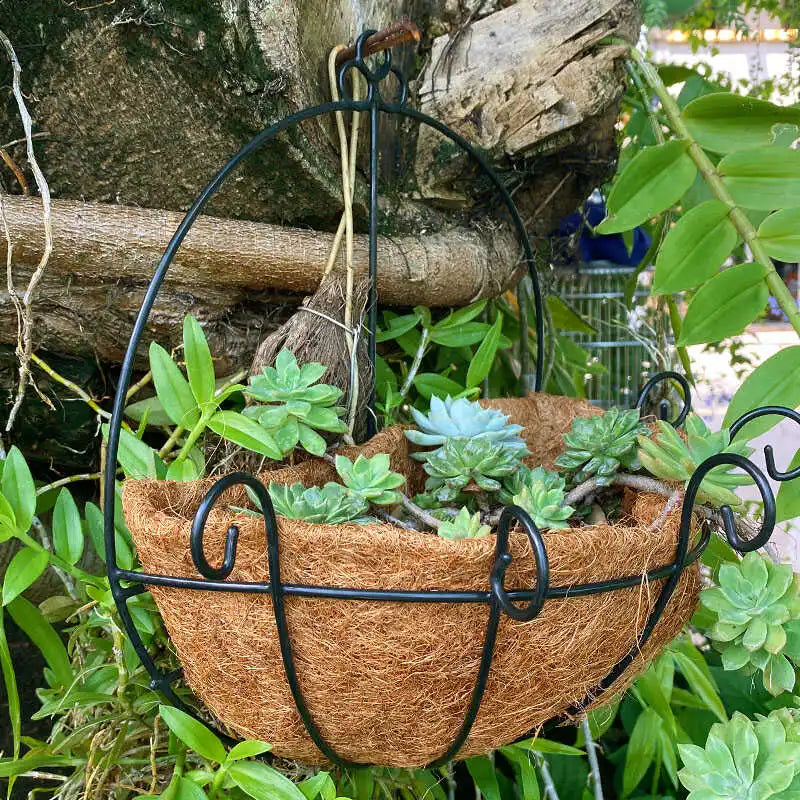 pots fleurs suspendus coir noir marron chaînes métalliques moderne minimaliste jardinintérieur