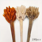 fleurs sèches plumes herbes naturelles décoration maison anniversaire mariage vases élégantes blanc marron fluffy