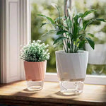 pots plantes transparents moderne minimaliste blanc rose gris rayures diagonales matériau plastique absorption d'eau