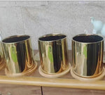 cache pot céramique finition or moderne plante verte décoration intérieure brillance lisse minimaliste maison