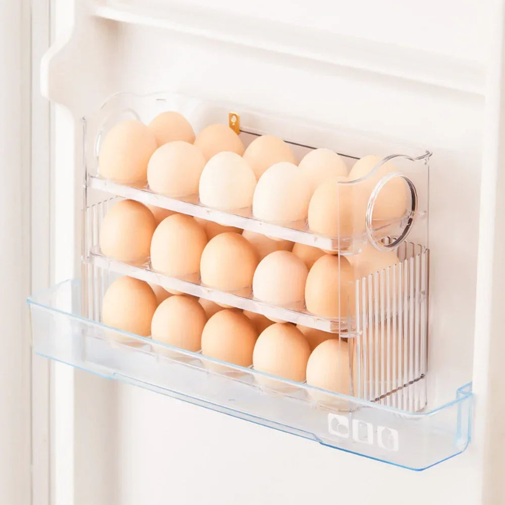 boîte œufs transparente moderne rayures verticales poignées qualité alimentaire plastique